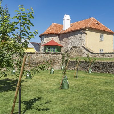 City Walls, Outer Bailey Gardens and Former Graveyard